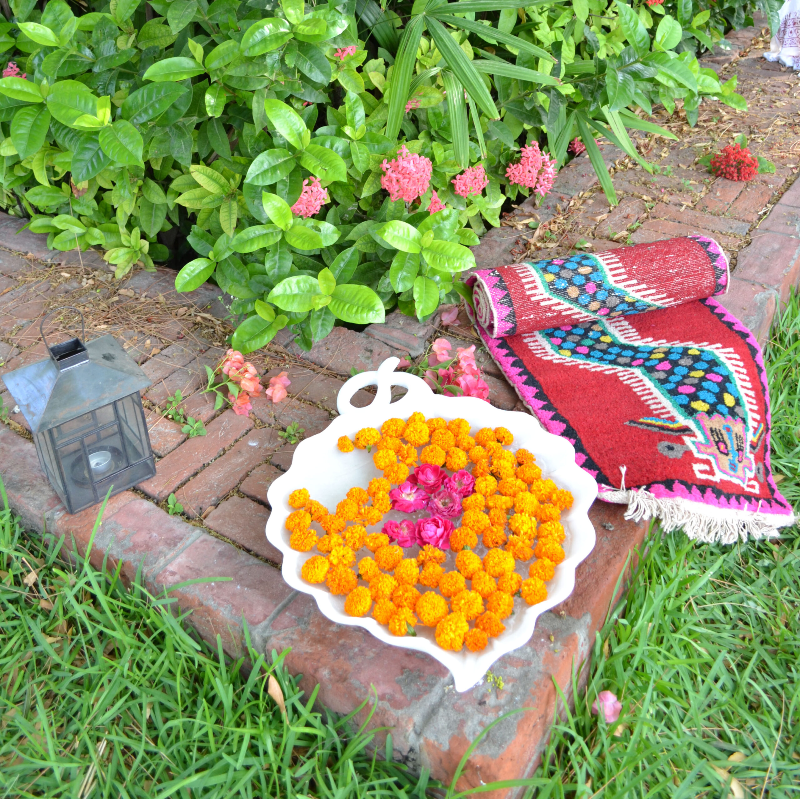 Urli with Leaf - Image 3