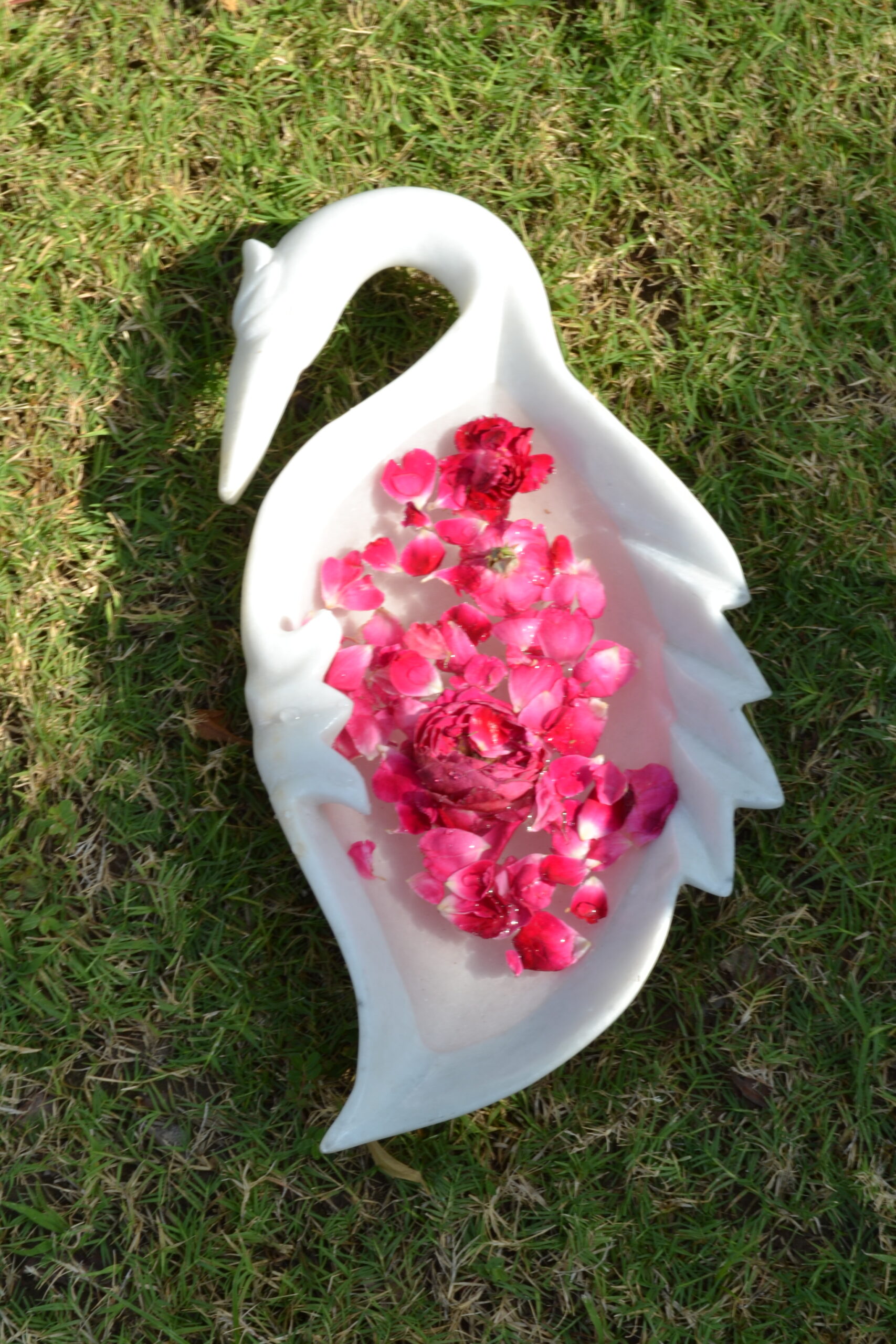 Urli Swan - Image 2