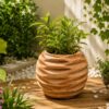 Handcrafted Terracotta Planter: The Perfect Choice for Stylish Garden & Home Decor